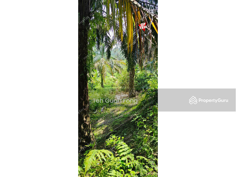 For Sale - 35.181 acres Agricultural Land | near Kulim Town area | RM3.72 psf