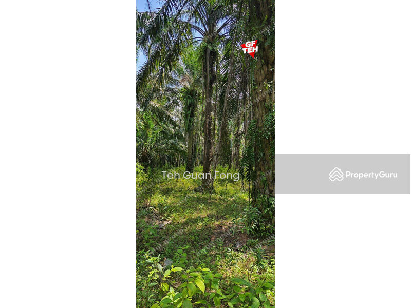 For Sale - 35.181 acres Agricultural Land | near Kulim Town area | RM3.72 psf