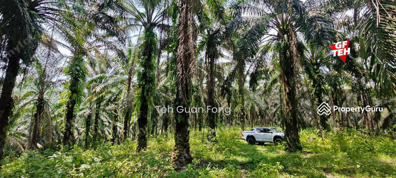 For Sale - 35.181 acres Agricultural Land | near Kulim Town area | RM3.72 psf