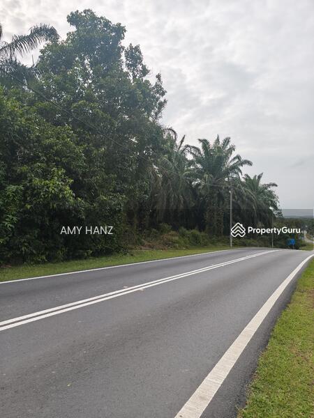 Tanah Pertanian untuk Dijual di Kampung Baru Batu 28 (Lenga) - AMY HANZ - PropertyGuru.com.my