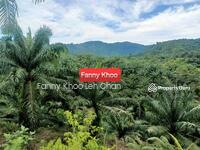 For Sale - Palm Oil Land for Sale | Beaufort