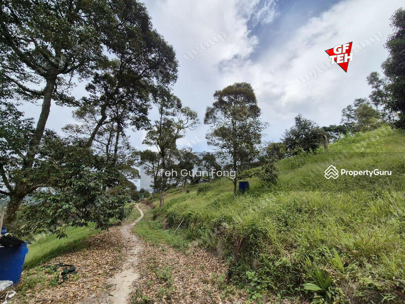 Tanah Pertanian untuk Dijual di Junjong (Kedah) - Teh Guan Fong - PropertyGuru.com.my