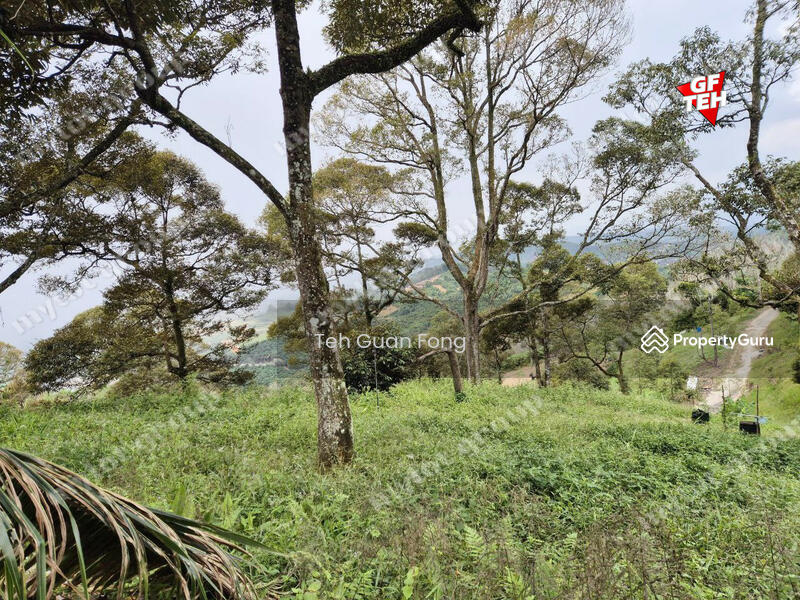 Tanah Pertanian untuk Dijual di Junjong (Kedah) - Teh Guan Fong - PropertyGuru.com.my