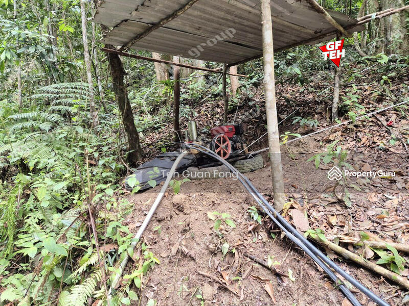 Tanah Pertanian untuk Dijual di Junjong (Kedah) - Teh Guan Fong - PropertyGuru.com.my