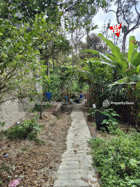 Tanah Pertanian untuk Dijual di Junjong (Kedah) - Teh Guan Fong - PropertyGuru.com.my