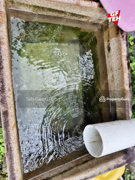 Tanah Pertanian untuk Dijual di Junjong (Kedah) - Teh Guan Fong - PropertyGuru.com.my