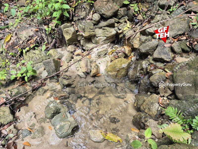 Tanah Pertanian untuk Dijual di Junjong (Kedah) - Teh Guan Fong - PropertyGuru.com.my
