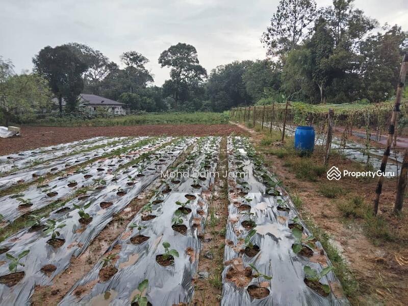 For Sale - [Tanah Rata+Ada sumber air] - Sesuai untuk Bina Rumah atau Pertanian