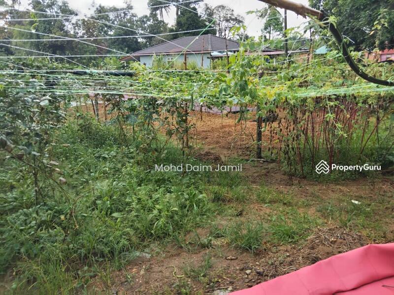 For Sale - [Tanah Rata+Ada sumber air] - Sesuai untuk Bina Rumah atau Pertanian