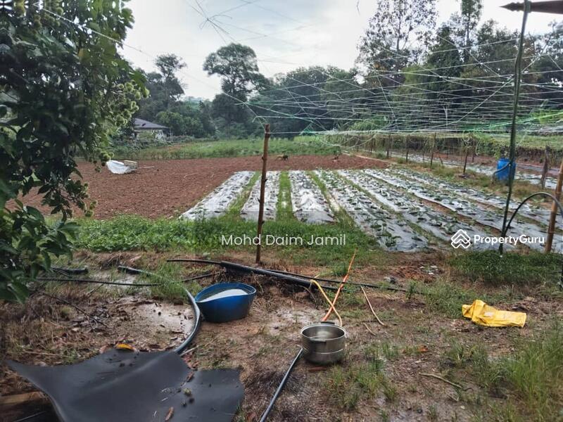 For Sale - [Tanah Rata+Ada sumber air] - Sesuai untuk Bina Rumah atau Pertanian
