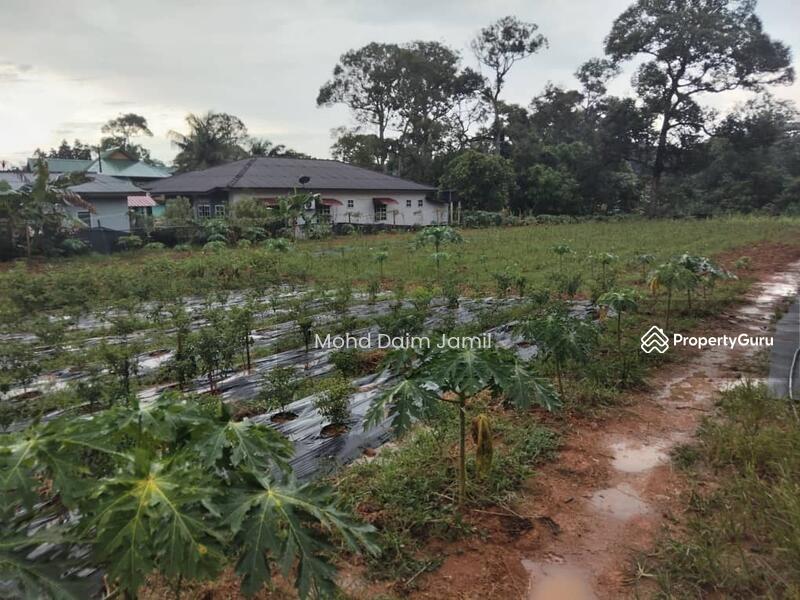 For Sale - [Tanah Rata+Ada sumber air] - Sesuai untuk Bina Rumah atau Pertanian