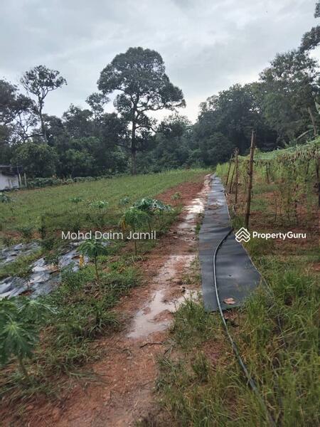 For Sale - [Tanah Rata+Ada sumber air] - Sesuai untuk Bina Rumah atau Pertanian