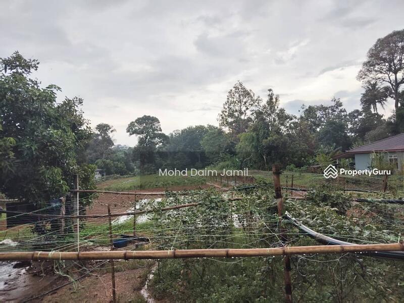For Sale - [Tanah Rata+Ada sumber air] - Sesuai untuk Bina Rumah atau Pertanian