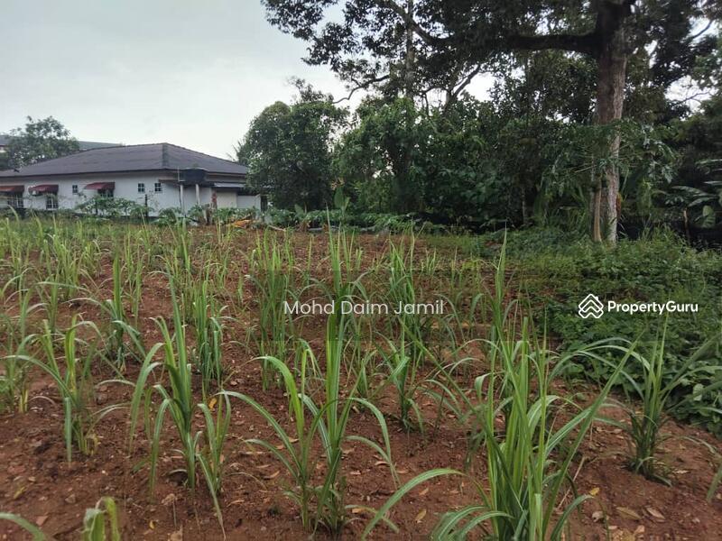 For Sale - [Tanah Rata+Ada sumber air] - Sesuai untuk Bina Rumah atau Pertanian