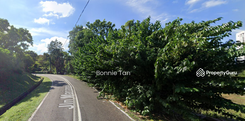 Commercial Land for Sale in Kampung Bahru (Johor Bahru) - Bonnie Tan - PropertyGuru.com.my