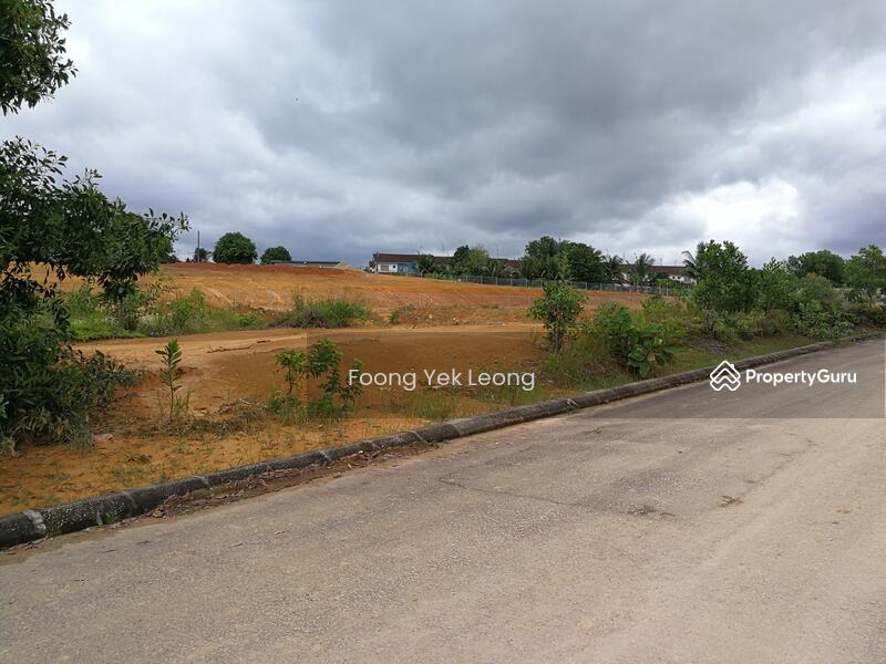 For Sale - Eco Tropics