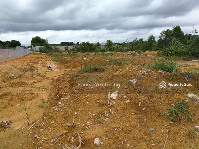 For Sale - Eco Tropics