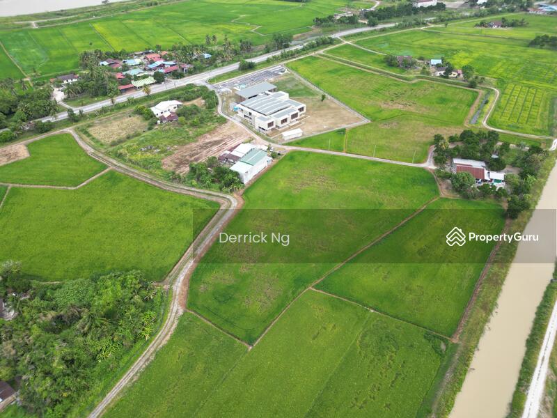 For Sale - Guar Kepah Bumbong Lima