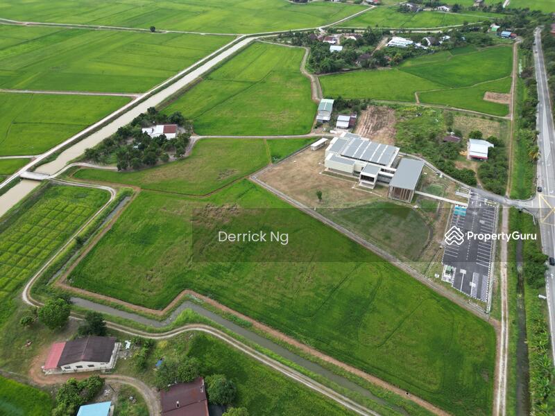 For Sale - Guar Kepah Bumbong Lima