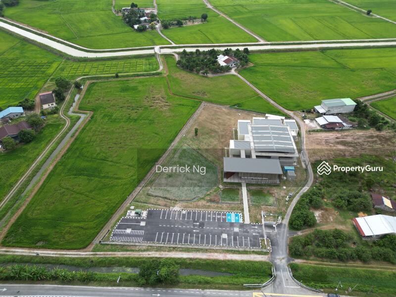 For Sale - Guar Kepah Bumbong Lima