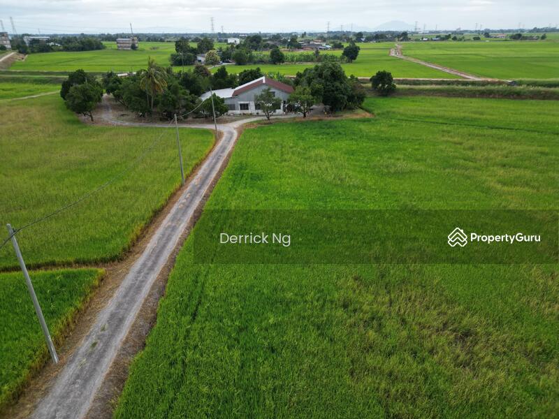 For Sale - Guar Kepah Bumbong Lima