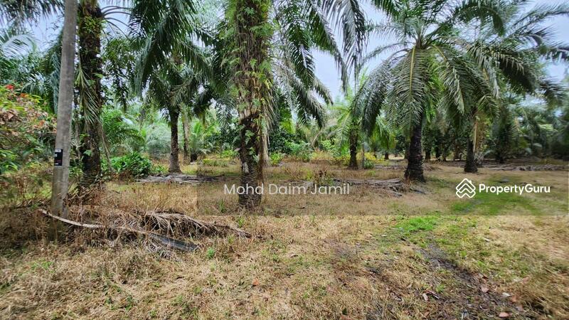 Untuk Dijual - Tanah Sawit Rata,Infra lengkap,Bebas Banjir- Parit 16,Sungai Besar