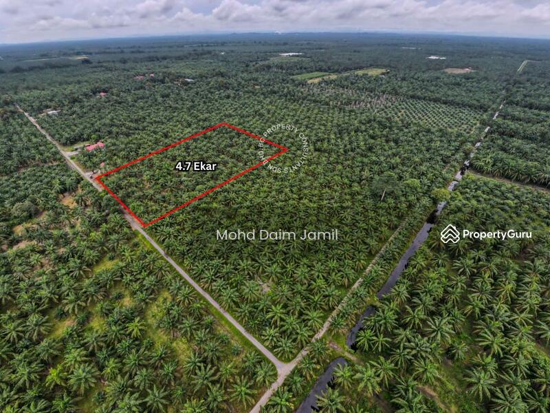 Untuk Dijual - Tanah Sawit Rata,Infra lengkap,Bebas Banjir- Parit 16,Sungai Besar