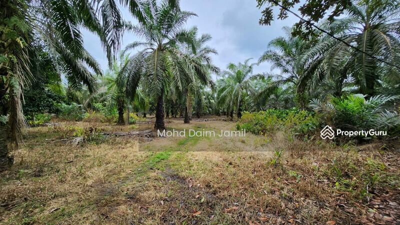 Untuk Dijual - Tanah Sawit Rata,Infra lengkap,Bebas Banjir- Parit 16,Sungai Besar