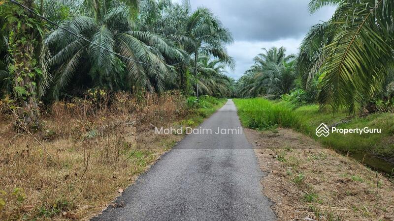 Untuk Dijual - Tanah Sawit Rata,Infra lengkap,Bebas Banjir- Parit 16,Sungai Besar