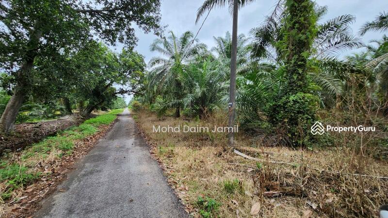 Untuk Dijual - Tanah Sawit Rata,Infra lengkap,Bebas Banjir- Parit 16,Sungai Besar