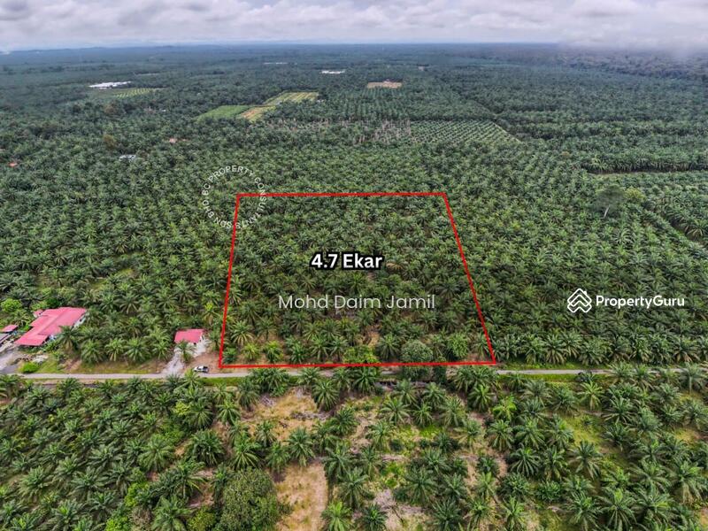 Untuk Dijual - Tanah Sawit Rata,Infra lengkap,Bebas Banjir- Parit 16,Sungai Besar