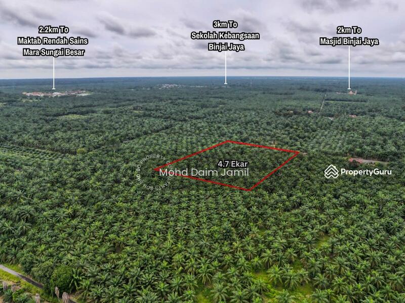 Untuk Dijual - Tanah Sawit Rata,Infra lengkap,Bebas Banjir- Parit 16,Sungai Besar