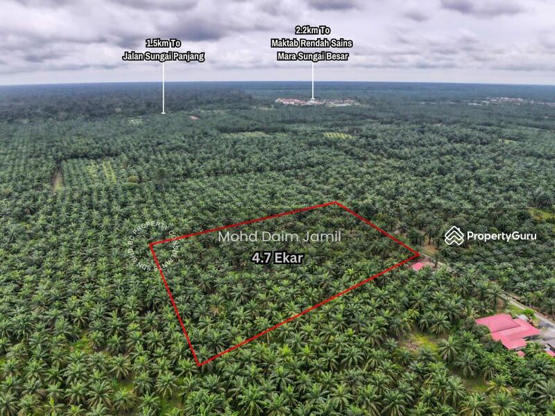 Untuk Dijual - Tanah Sawit Rata,Infra lengkap,Bebas Banjir- Parit 16,Sungai Besar