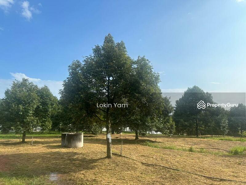 Tanah Pertanian untuk Dijual di Kampung Sungai Siput (Jementah) - Lokin Yam - PropertyGuru.com.my