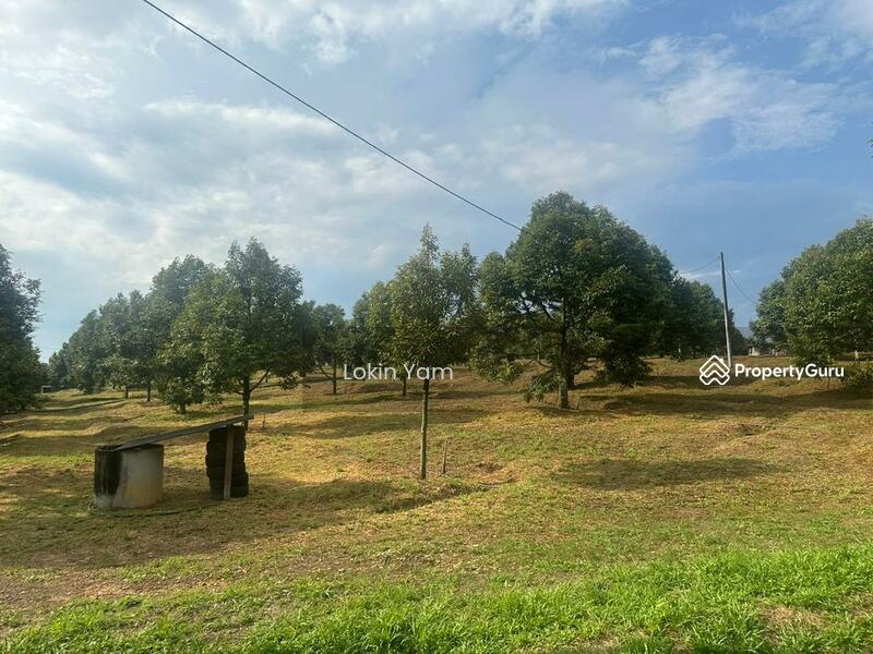 Tanah Pertanian untuk Dijual di Kampung Sungai Siput (Jementah) - Lokin Yam - PropertyGuru.com.my