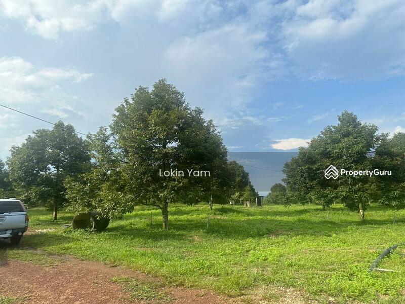 Tanah Pertanian untuk Dijual di Kampung Sungai Siput (Jementah) - Lokin Yam - PropertyGuru.com.my