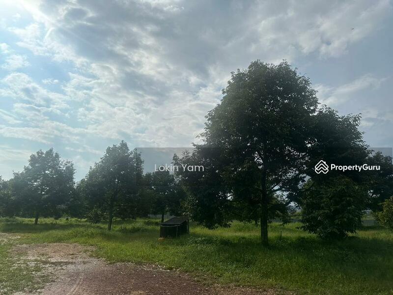 Tanah Pertanian untuk Dijual di Kampung Sungai Siput (Jementah) - Lokin Yam - PropertyGuru.com.my