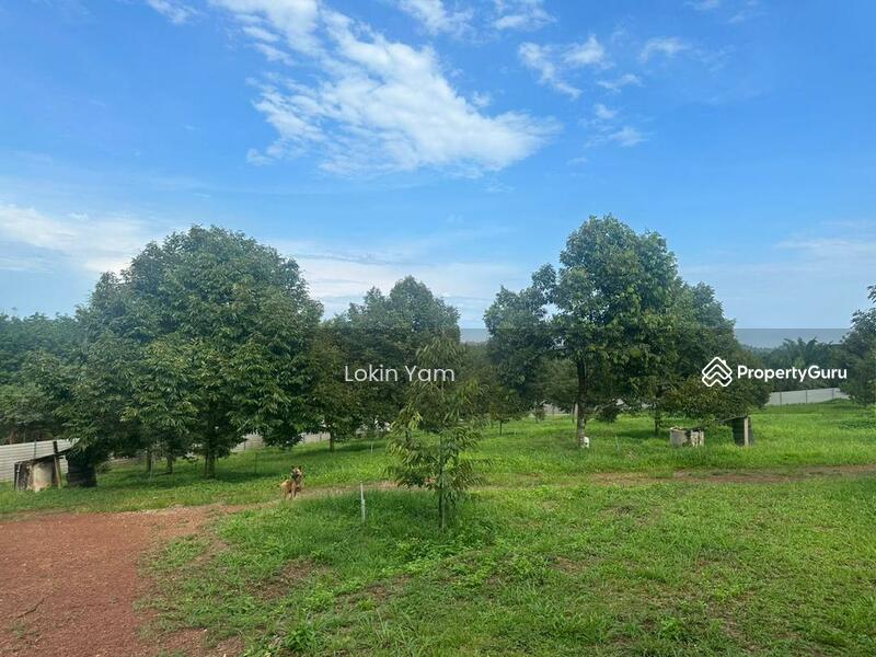 Tanah Pertanian untuk Dijual di Kampung Sungai Siput (Jementah) - Lokin Yam - PropertyGuru.com.my