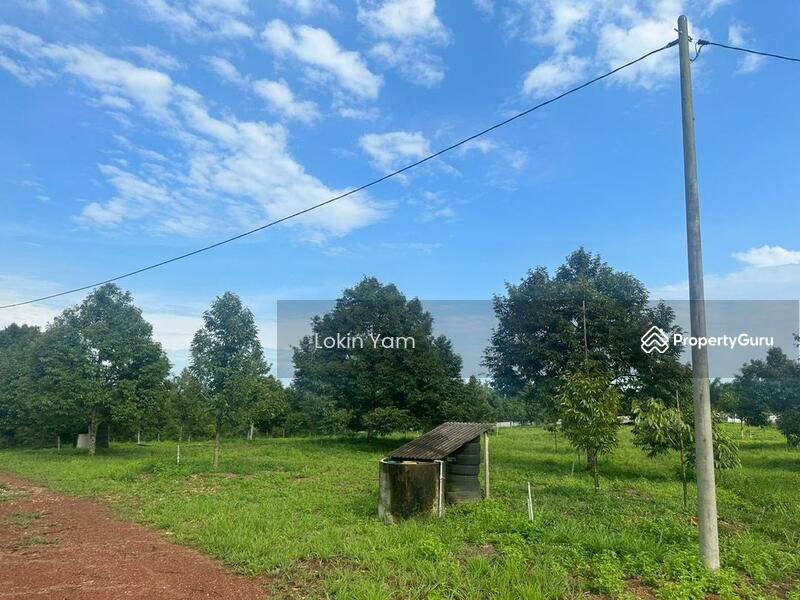 Tanah Pertanian untuk Dijual di Kampung Sungai Siput (Jementah) - Lokin Yam - PropertyGuru.com.my