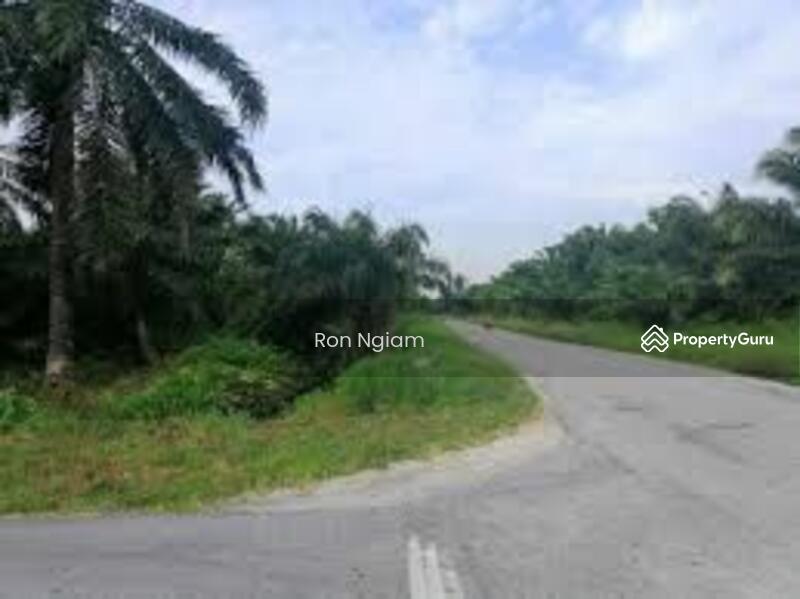 Industrial Land for Sale in Kampung Batu 9 Kebun Baru (Telok Panglima Garang) - Ron Ngiam - PropertyGuru.com.my