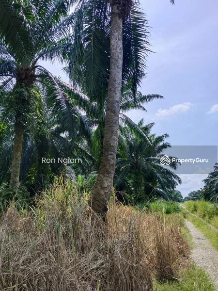 Industrial Land for Sale in Kampung Batu 9 Kebun Baru (Telok Panglima Garang) - Ron Ngiam - PropertyGuru.com.my