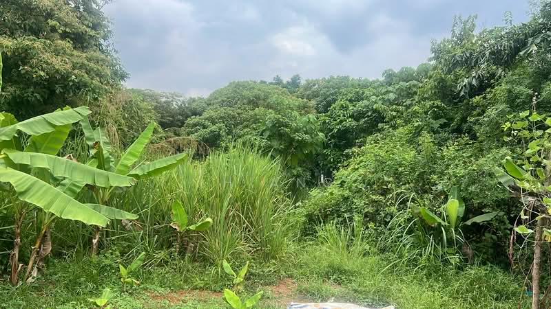 Industrial Land for Sale in Kampung Sungai Puyu (Butterworth) - LH Ang - PropertyGuru.com.my