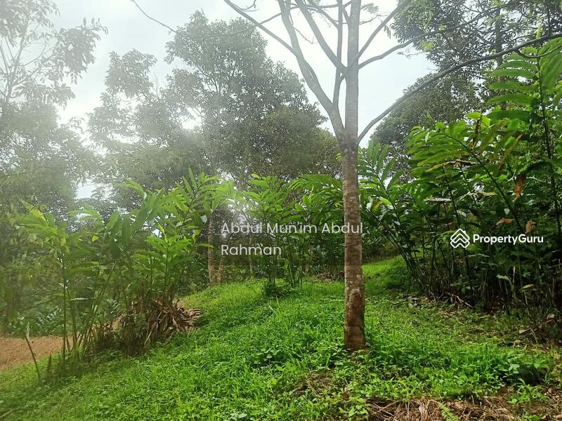 Tanah Pertanian untuk Dijual di Kampung Pansoon (Hulu Langat) - Abdul Mun'im Abdul Rahman - PropertyGuru.com.my