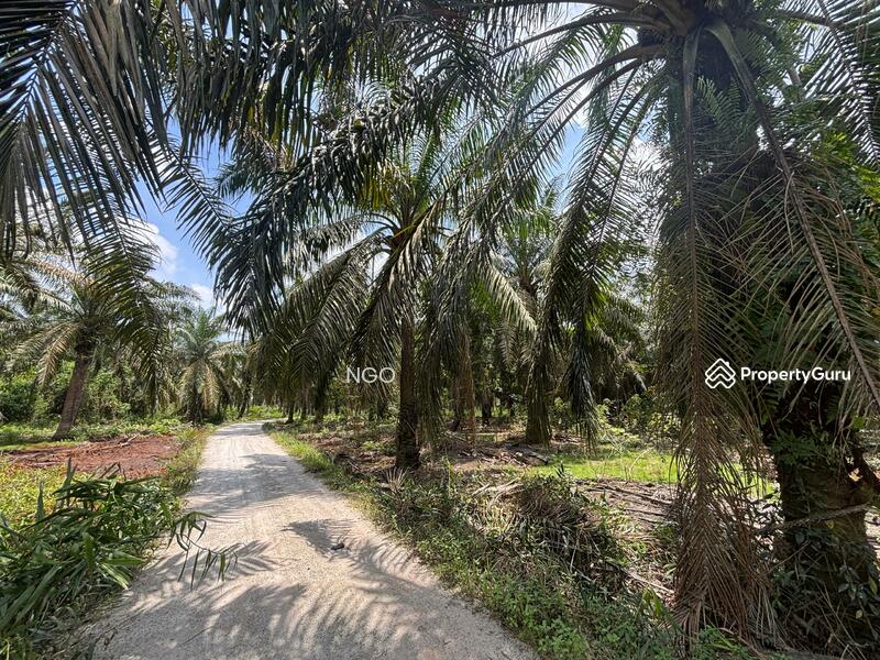 Agricultural Land for Sale in Parit Sri Telok (Batu Pahat) - NGO - PropertyGuru.com.my
