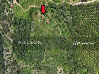 For Sale - 9.6 acres Karak Sg Dua Durian Land For Sale