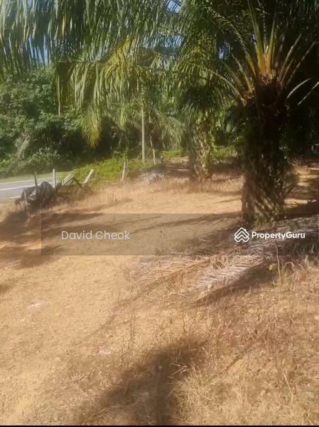 For Sale - Existing Palm Oil // Daerah Rembau // Linggi // 10 Arce