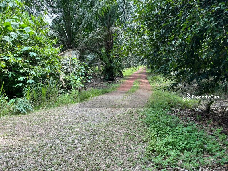 Untuk Dijual - Teluk panglima garang