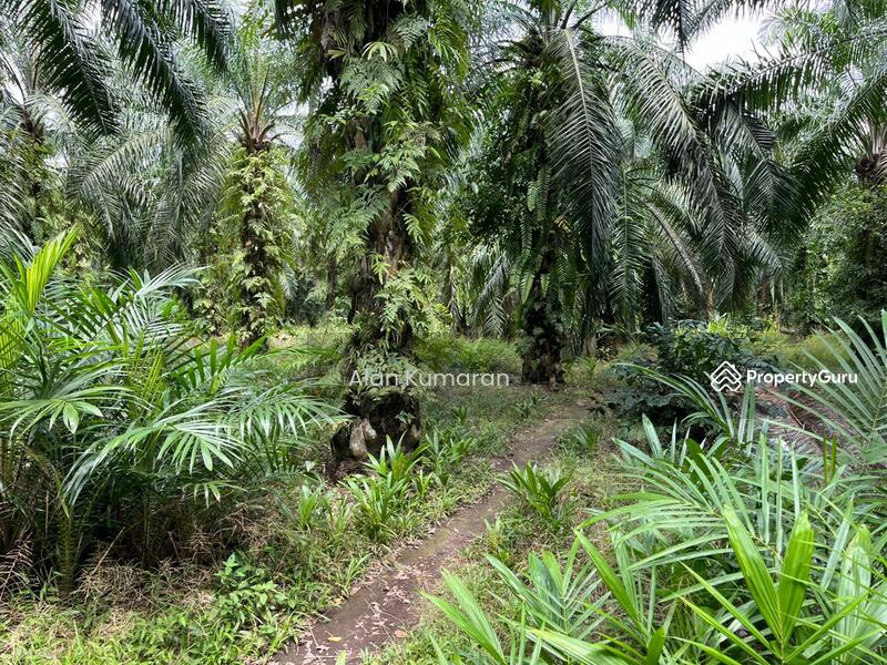 Untuk Dijual - Teluk panglima garang
