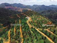 For Sale - Asahan, Jasin, Melaka
