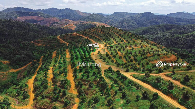 For Sale - Asahan, Jasin, Melaka